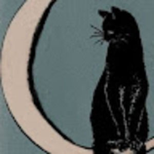 Meet your Posher, Bailey